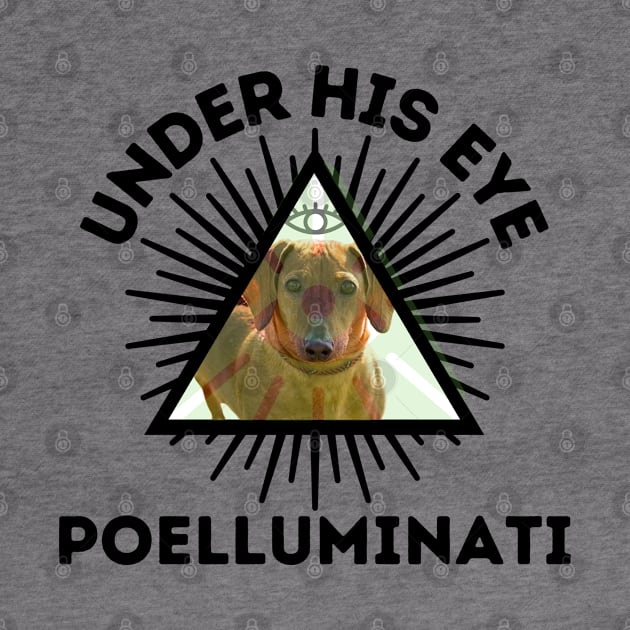 Poelluminati by Aint It Scary